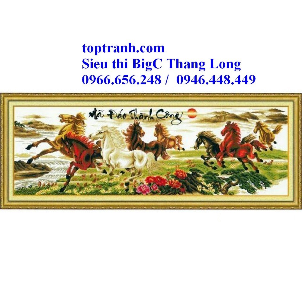 Tranh thêu mã đáo thành công